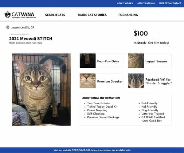 2021 Meowdi STITCH $100 In Stock • Get him today! Four Paw-Drive impact sensors Premium Speaker Forehead "M for Master Snuggler* ADDITIONAL INFORMATION Two Tone Exterioe Ticked Tobby Decol Kit Power Nopping Self Cleaning Premium Soon Parsone •Cot-Friendly Kid-Friendly Dog-Friendly • Litterbox Trained • CATFAX Certified 100% Good Boy