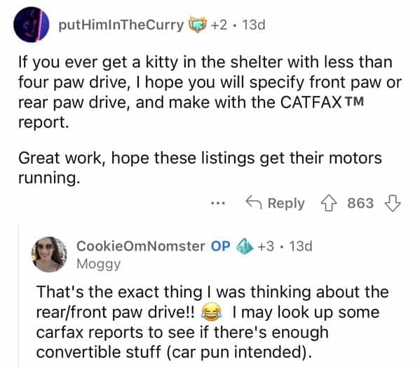 putHiminTheCurry (gl +2 • 13d If you ever get a kitty in the shelter with less than four paw drive, I hope you will specify front paw or rear paw drive, and make with the CATFAXT report. Great work, hope these listings get their motors running. 5 Reply < 863 J CookieOmNomster OP 4 +3 • 13d Moggy That's the exact thing I was thinking about the rear/front paw drive!! &3) I may look up some carfax reports to see if there's enough convertible stuff (car pun intended).
