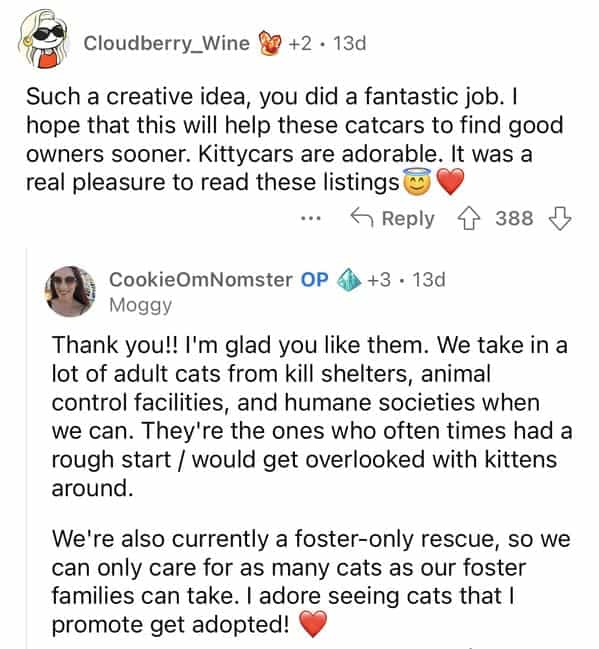 Cloudberry_Wine & +2 • 13d Such a creative idea, you did a fantastic job. I hope that this will help these catcars to find good owners sooner. Kittycars are adorable. It was a real pleasure to read these listings ... G Reply 4 388 M CookieOmNomster OP 4 +3 • 13d Moggy Thank you!! I'm glad you like them. We take in a lot of adult cats from kill shelters, animal control facilities, and humane societies when we can. They're the ones who often times had a rough start / would get overlooked with kittens around. We're also currently a foster-only rescue, so we can only care for as many cats as our foster families can take. I adore seeing cats that I promote get adopted!