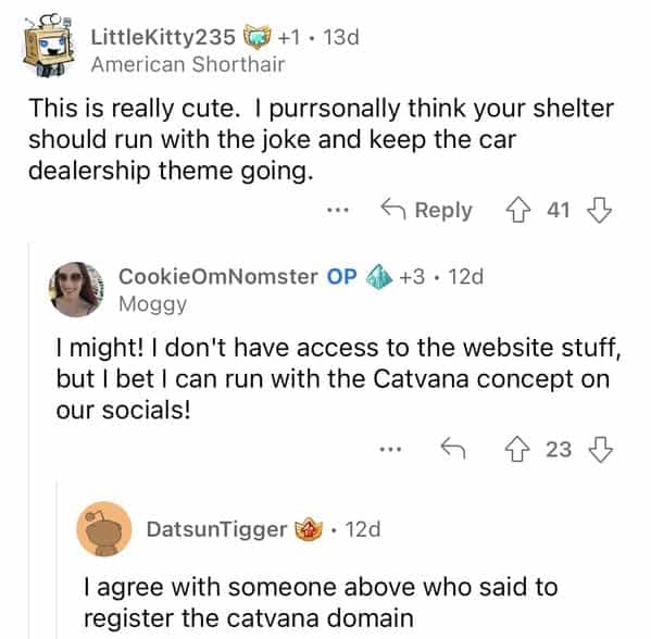 LittleKitty235 (g +1 • 13d American Shorthair This is really cute. I purrsonally think your shelter should run with the joke and keep the car dealership theme going. 5Reply 个419 CookieOmNomster OP 63 +3 • 12d Moggy I might! I don't have access to the website stuff, but I bet I can run with the Cavana concept on our socials! a 23 a DatsunTigger J • 12d agree with someone above who said to register the catvana domain
