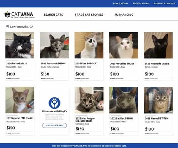 CATANA © Lawrenceville, GA SEARCH CATS TRADE CAT STORIES FURNANCING S100 $150 SI00 ols Forcedes sUbor s100 2022 Meowada CASSIE S100 2022 ApUra LITTLE MAN $150 PERSPALLONI 2023 Miel Posper MR. GOODBAR $150 $100 2021 Mewwdi STITCH 5100