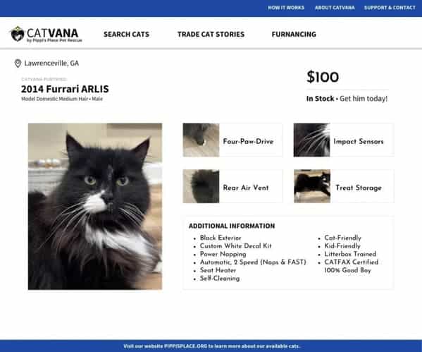 2014 Furrari ARLIS 5100 In Stock - Get him today! Four.Pow.Drive mpoct Sensors Rear Air Vent Treat Storage ADDITIONAL INFORMATION •custom Whir Deco Kit Power Napping Automotic, 2 Speed (Nops & FAST) Self.Cleoni Cat-Friendly •Kid-Friendly •litterbox Trained • CATFAX Certified 100N Good Boy