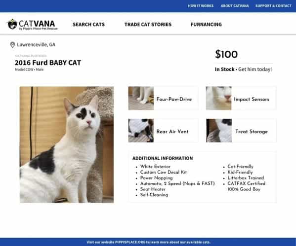 2016 Furd BABY CAT $100 In Stock - Get him today! Four-Paw.Drive Impost Sensors Rear Air Vent Treat Storoge ADDITIONAL INFORMATION • White saterios cuttam cow Decal Ait Power Nopping Automatic, 2 Speed (Nops & FAST) Seat Heater seit-siconina Cot-Friendly • Litterbox Trained •CATFAX Certified 100% Good Boy