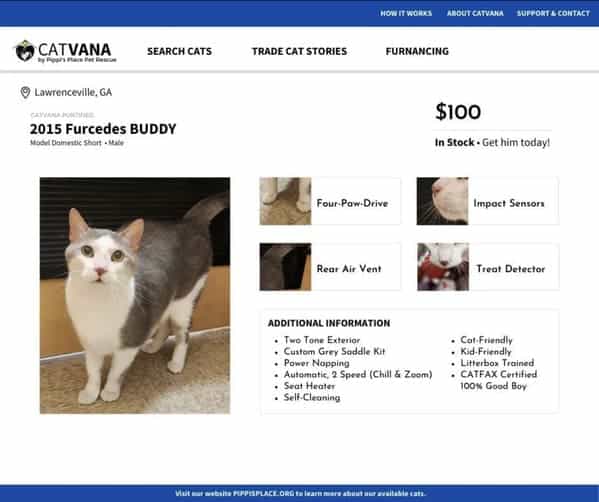 2015 Furcedes BUDDY he mismate OrienTs SEARCH CATS TRADE CAT STORIES FURNANCING $100 In Stock- Get him today! Four-Pow-Drive Impost Sensors Rear Air Vent Treat Detector ADDITIONAL INFORMATION •Two Tone Exterior Custom Grey Saddle Kit Power NoDoing Automatic, 2 Speed (Chill & Zoom) Seat Heater Self-Cleoning • Cat-Friendly Kid-Friendly • Litterbox Trained •CATFAX Certified