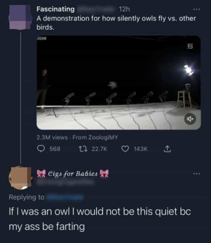Fascinating 12h A demonstration for how silently owls fly vs. other birds. 2.3M views • From ZoologiMY • 568 17 22.7K © 143K Cigs for Babies & Replying to If I was an owl I would not be this quiet be my ass be farting
