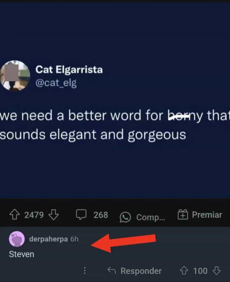 Cat Elgarrista @cat_elg we need a better word for berny tha sounds elegant and gorgeous 2479 Л derpaherpa 6h Steven