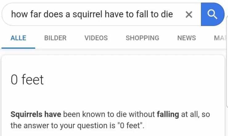 how far does a squirrel have to fall to die X ALLE BILDER VIDEOS SHOPPING NEWS MA 0 feet Squirrels have been known to die without falling at all, so the answer to your question is "O feet".