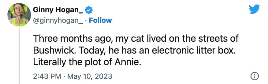 cat memes