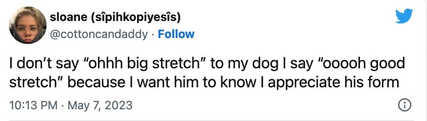 dog memes