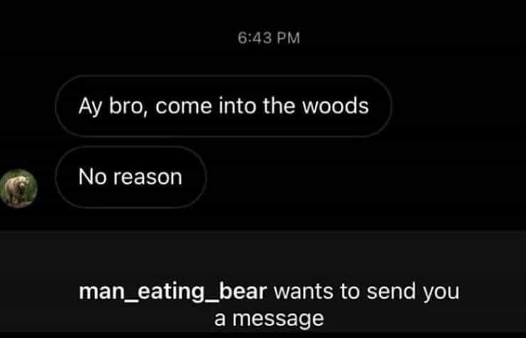 Ay bro, come into the woods No reason man_eating_bear wants to send you a message