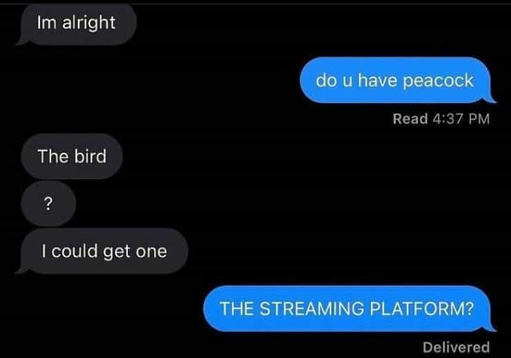 Im alright The bird ? I could get one do u have peacock Read 4:37 PM THE STREAMING PLATFORM?