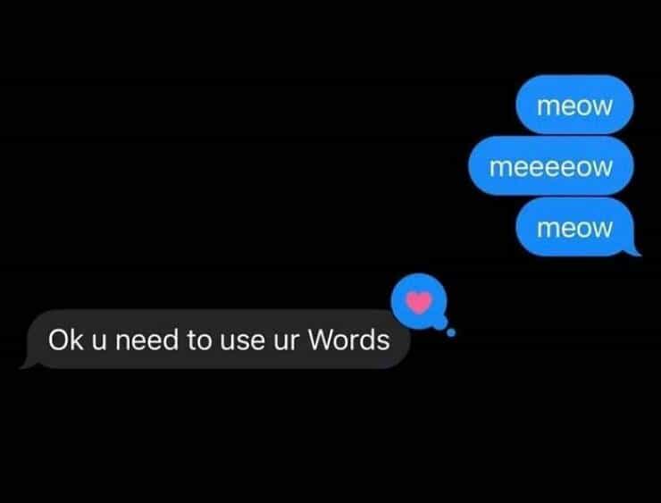 meow meeeeow meow Ok u need to use ur Words
