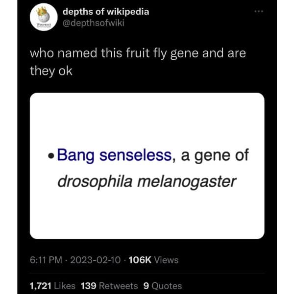 meme dump