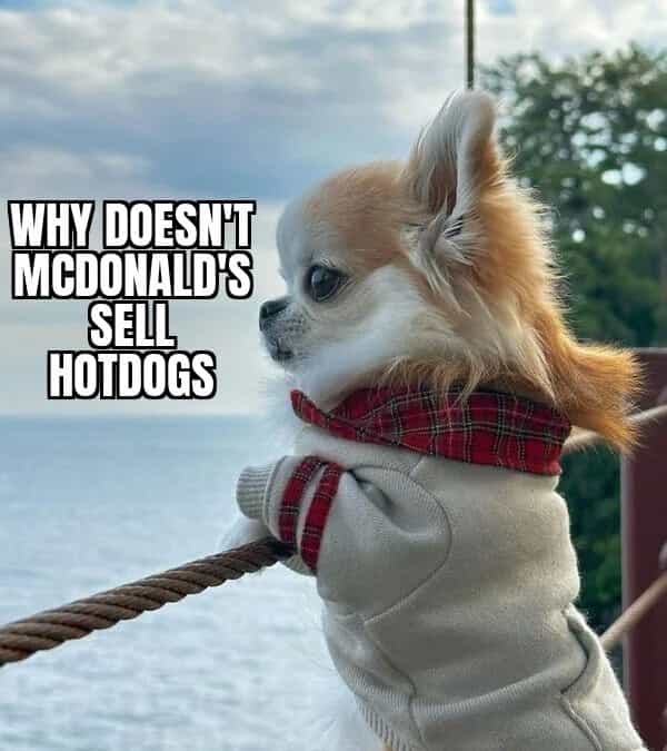 WHY DOESTET MCDONALD'S SELL HOTDOGS