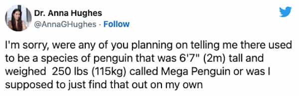 Dr. Anna Hughes @AnnaGHughes • Follow I'm sorry, were any of you planning on telling me there used to be a species of penguin that was 6'7" (2m) tall and weighed 250 Ibs (115kg) called Mega Penguin or was I supposed to just find that out on my own