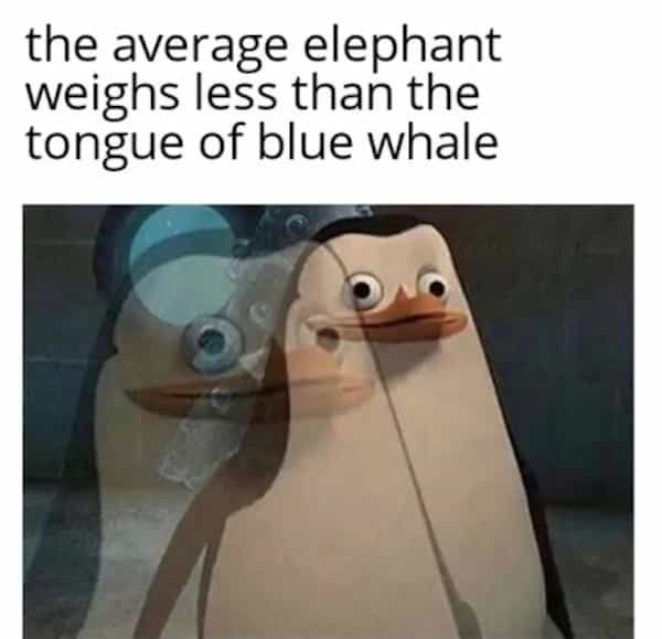 the average elephant weighs less than the tongue of blue whale