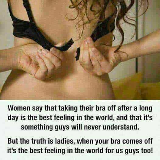 Women say that taking their bra off after a long day is the best feeling in the world, and that it's something guys will never understand. But the truth is ladies, when your bra comes off it's the best feeling in the world for us guys too!