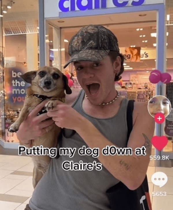 Putting my dog dOwn at 559.8K Claire's