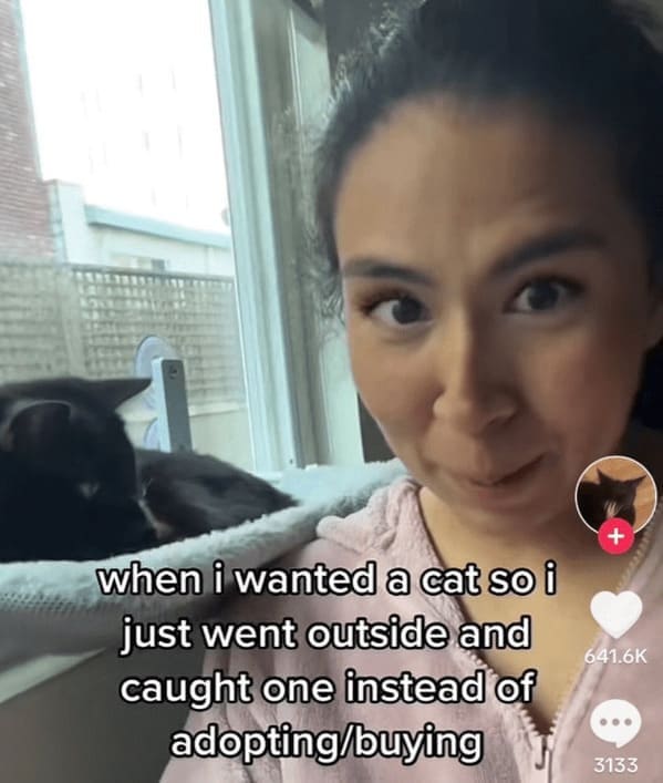 when i wanted a cat so i just went outside and caught one instead of adopting/buying