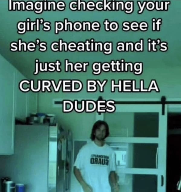 imagine checking your girl's phone to see if she's cheating and it's just her getting CURVED BY HELLA DUDES