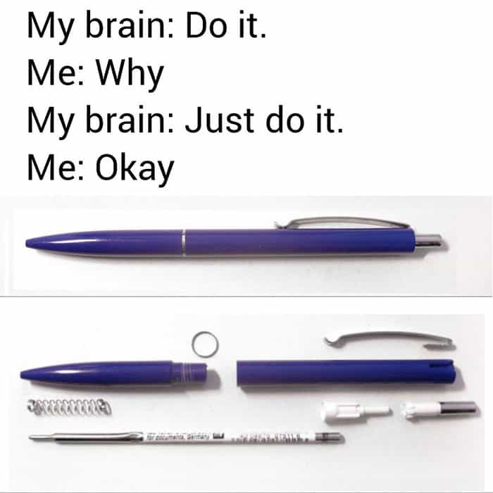 My brain: Do it. Me: Why My brain: Just do it. Me: Okay