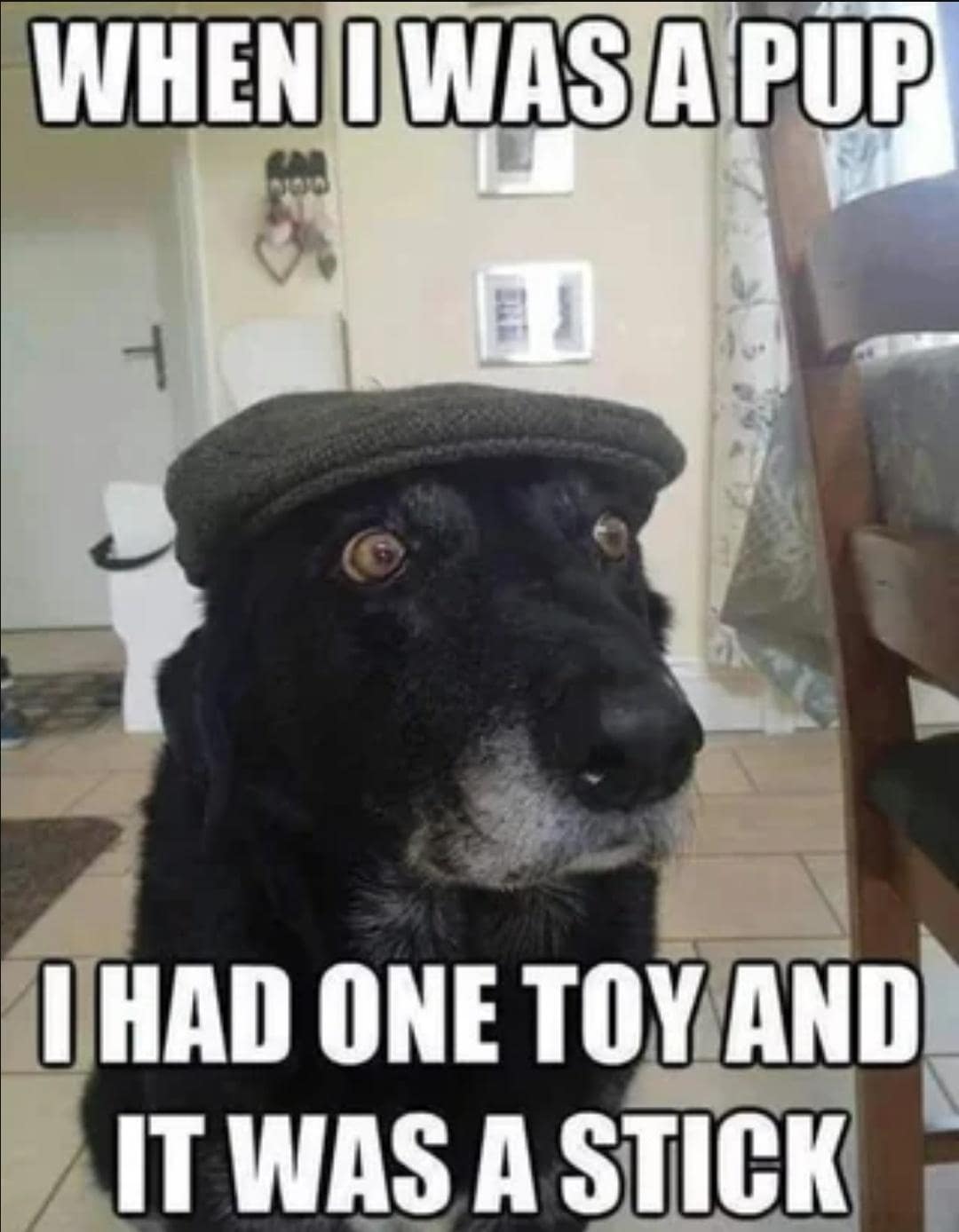 classic memes