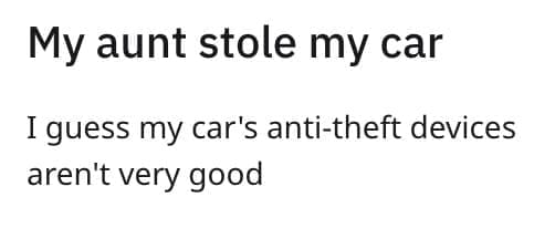 My aunt stole my car I guess my car's anti-theft devices aren't very good