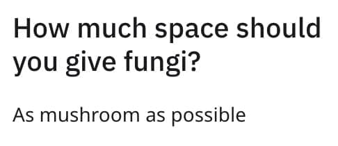How much space should you give fungi? As mushroom as possible