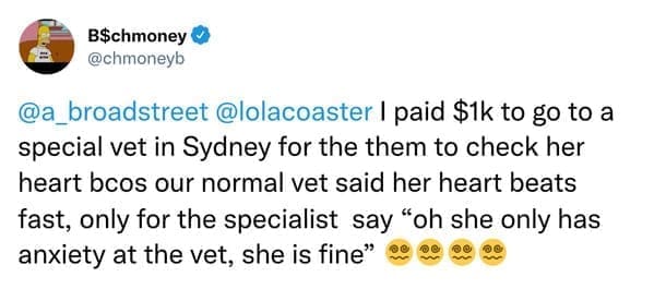 I paid $1k to go to a special vet in Sydney for the them to check her heart bcos our normal vet said her heart beats fast, only for the specialist say "oh she only has anxiety at the vet, she is fine"