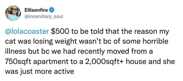 $500 to be told that the reason my cat was losing weight wasn't bc of some horrible illness but be we had recently moved from a 750sqft apartment to a 2,000sqft+ house and she was just more active