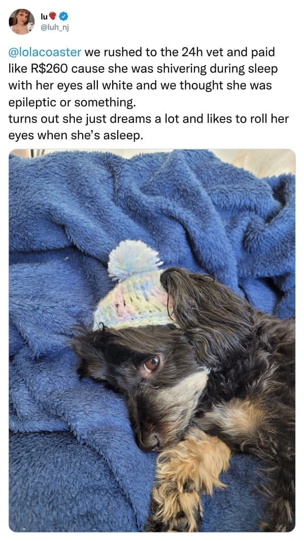 we rushed to the 24h vet and paid like R$260 cause she was shivering during sleep with her eyes all white and we thought she was epileptic or something. turns out she just dreams a lot and likes to roll her eyes when she's asleep.