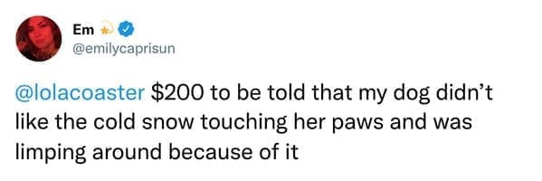 $200 to be told that my dog didn't like the cold snow touching her paws and was limping around because of it