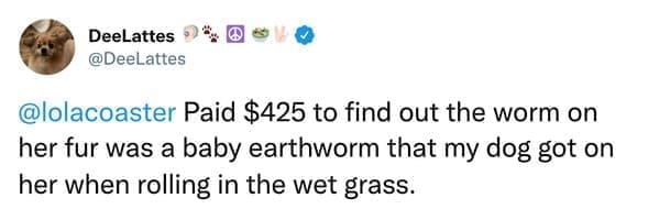 Paid $425 to find out the worm on her fur was a baby earthworm that my dog got on her when rolling in the wet grass.