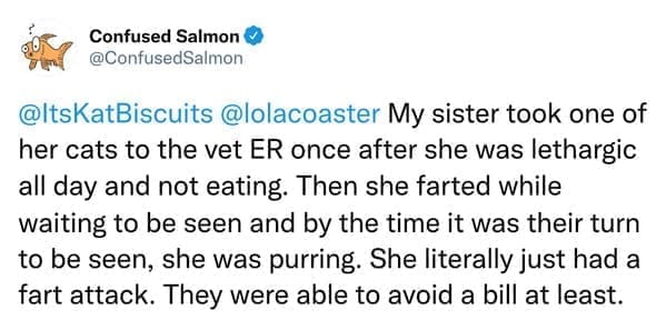 My sister took one of her cats to the vet ER once after she was lethargic all day and not eating. Then she farted while waiting to be seen and by the time it was their turn to be seen, she was purring. She literally just had a fart attack. They were able to avoid a bill at least.