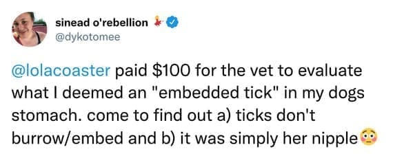 paid $100 for the vet to evaluate what I deemed an "embedded tick" in my dogs stomach. come to find out a) ticks don't burrow/embed and b) it was simply her nipple