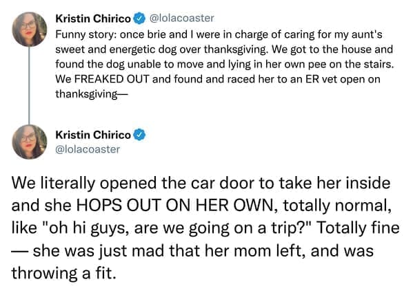 Funny story: once brie and I were in charge of caring for my aunt's sweet and energetic dog over thanksgiving. We got to the house and found the dog unable to move and lying in her own pee on the stairs. We FREAKED OUT and found and raced her to an ER vet open on thanksgiving Kristin Chirico @ @lolacoaster We literally opened the car door to take her inside and she HOPS OUT ON HER OWN, totally normal, like "oh hi guys, are we going on a trip?" Totally fine - she was just mad that her mom left, and was throwing a fit.