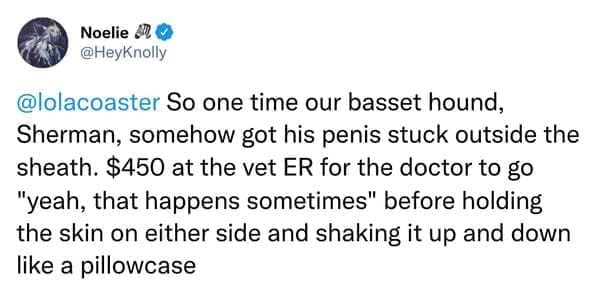 Noelie 8, 0 @HeyKnolly @lolacoaster So one time our basset hound, Sherman, somehow got his penis stuck outside the sheath. $450 at the vet ER for the doctor to go "yeah, that happens sometimes" before holding the skin on either side and shaking it up and down like a pillowcase