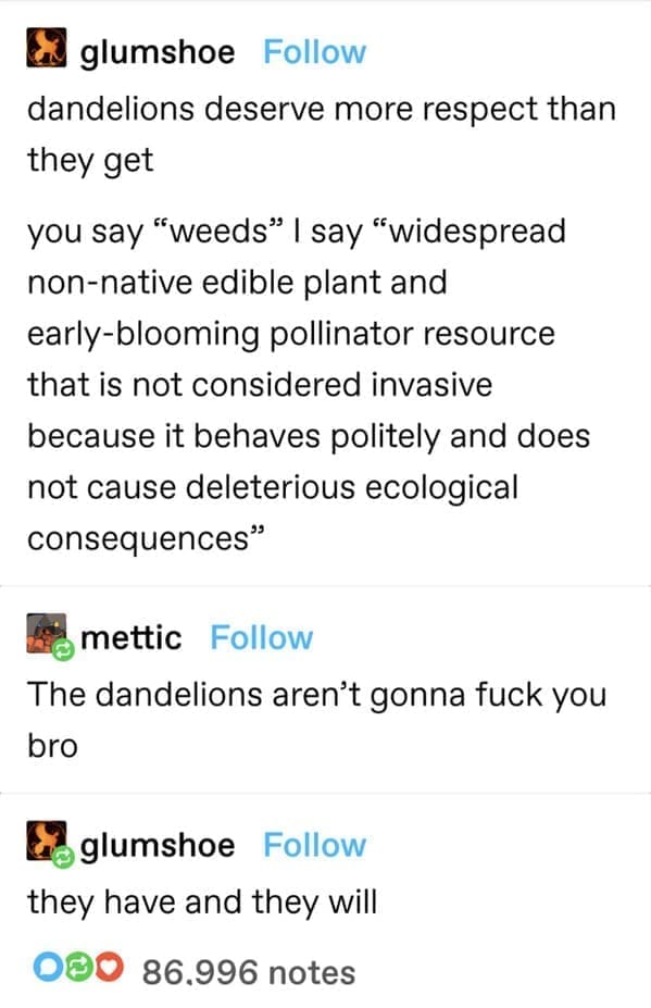 glumshoe Follow dandelions deserve more respect than they get you say "weeds" | say "widespread non-native edible plant and early-blooming pollinator resource that is not considered invasive because it behaves politely and does not cause deleterious ecological consequences mettic Follow The dandelions aren't gonna fuck you bro Li glumshoe Follow they have and they will