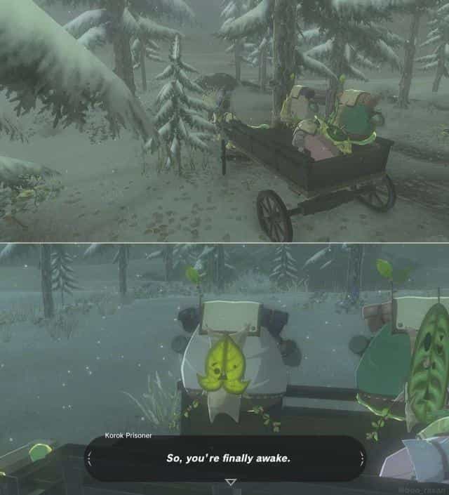 So, you're finally awake.