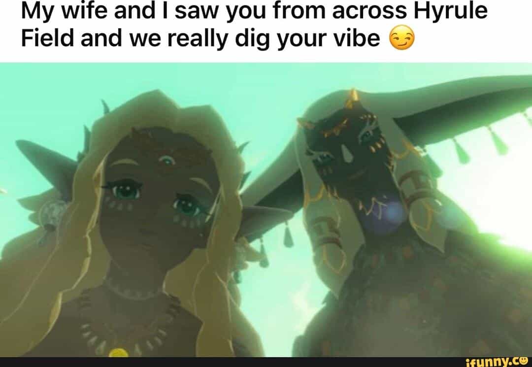 My wife and I saw you from across Hyrule Field and we really dig your vibe