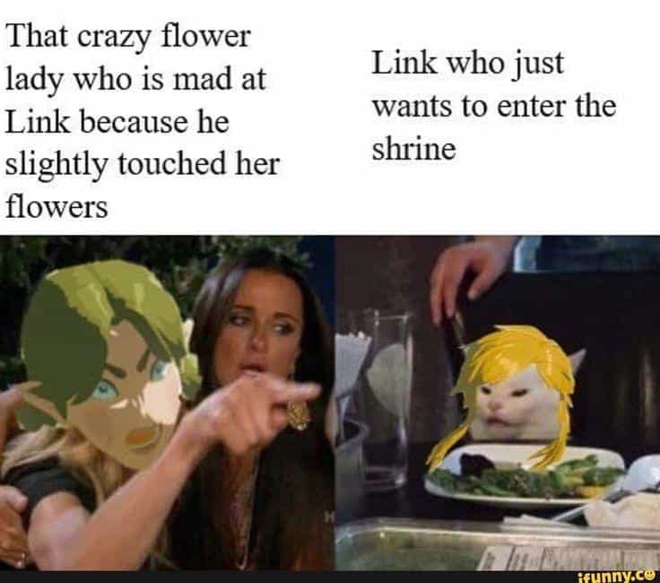 That crazy flower lady who is mad at Link because he slightly touched her flowers Link who just wants to enter the shrine