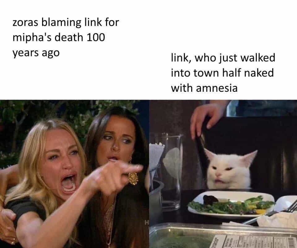 That crazy flower lady who is mad at Link because he slightly touched her flowers Link who just wants to enter the shrine