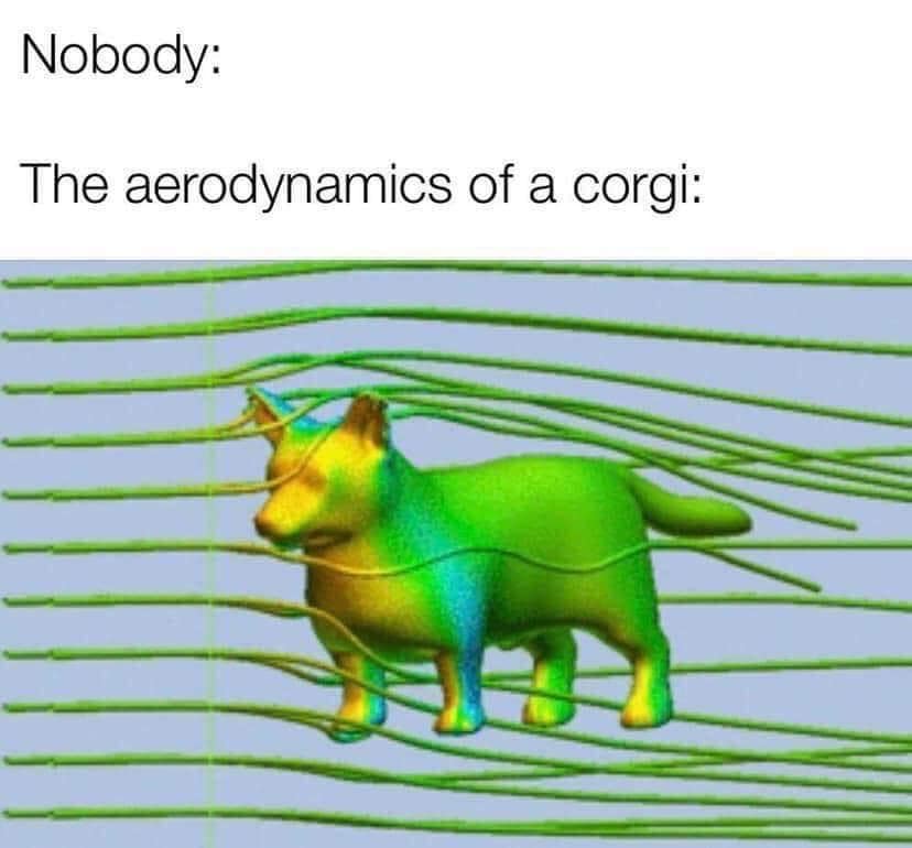 relatable memes