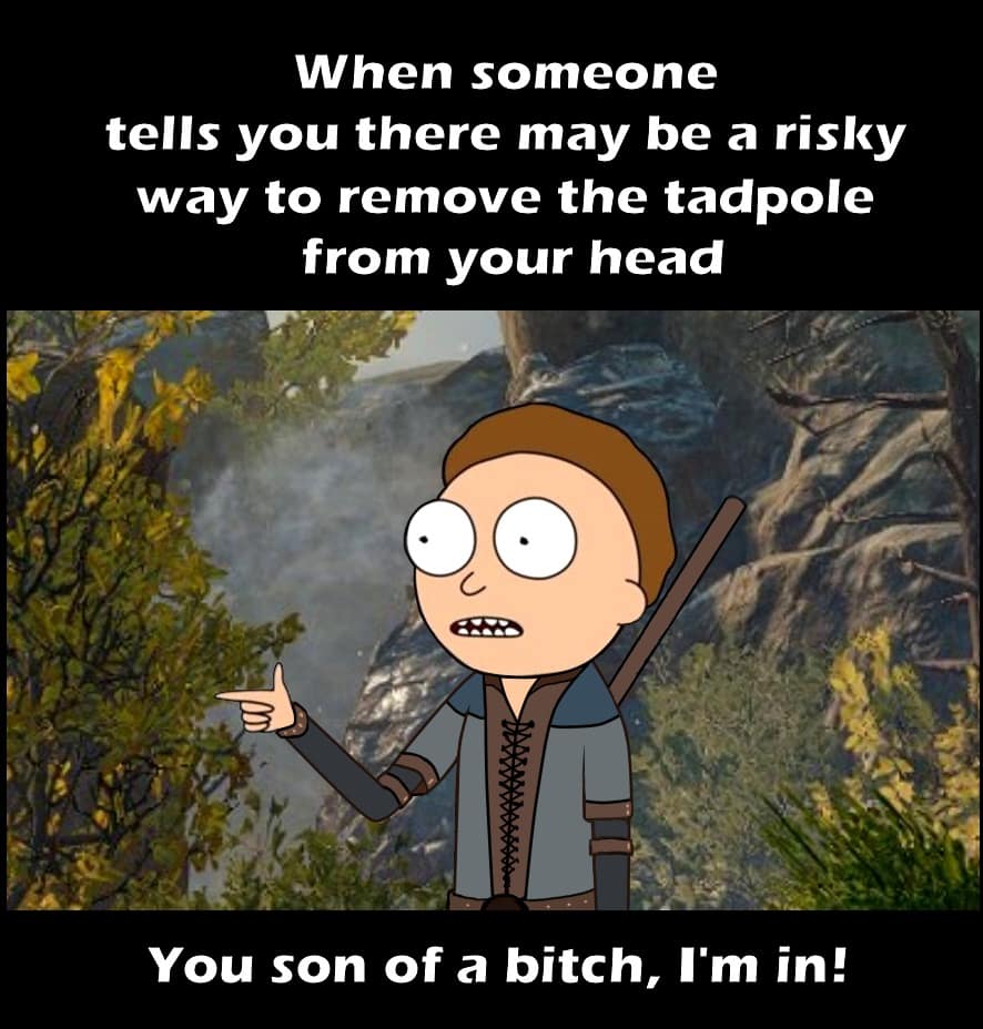 baldur's gate 3 memes