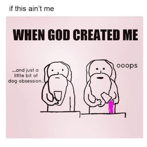 dog memes