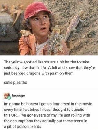 reptile memes
