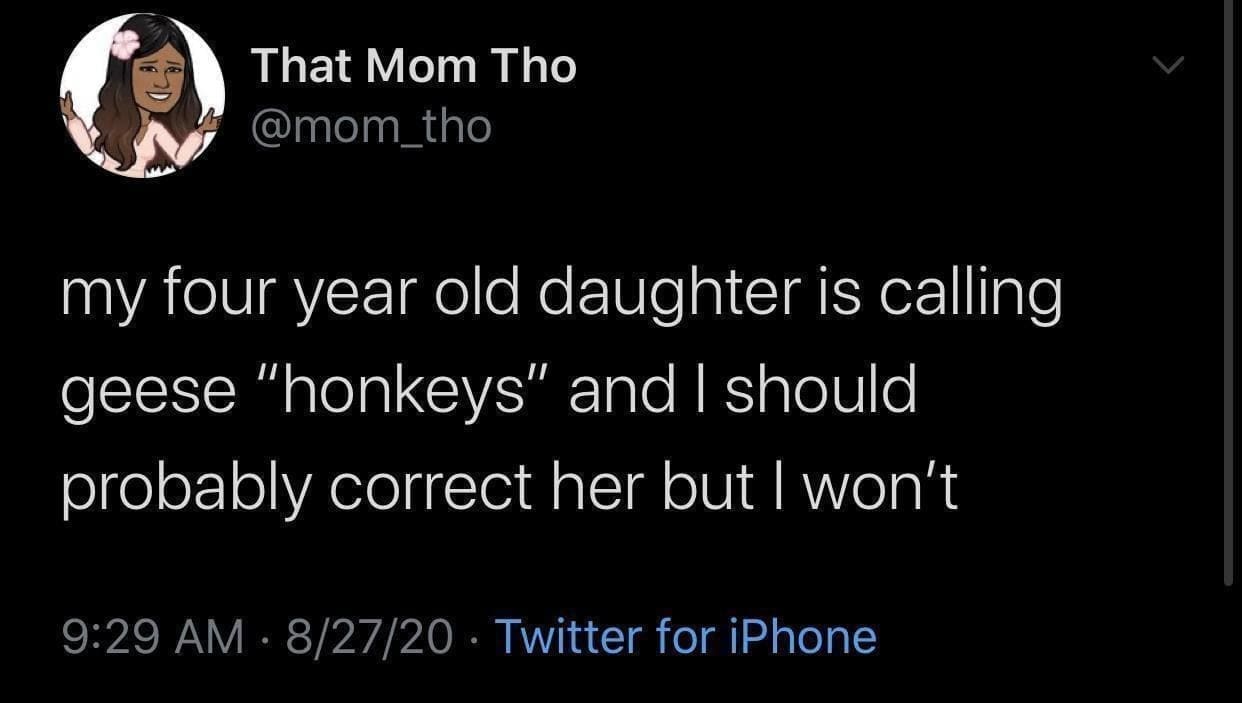 funny memes my four year old daughter is calling geese "honkeys" and I should probably correct her but I won't