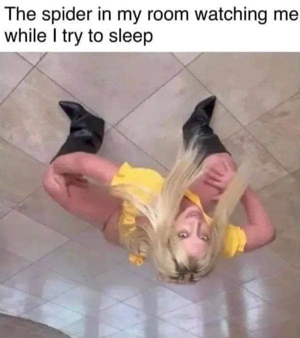 funny memes The spider in my room watching me while I try to sleep