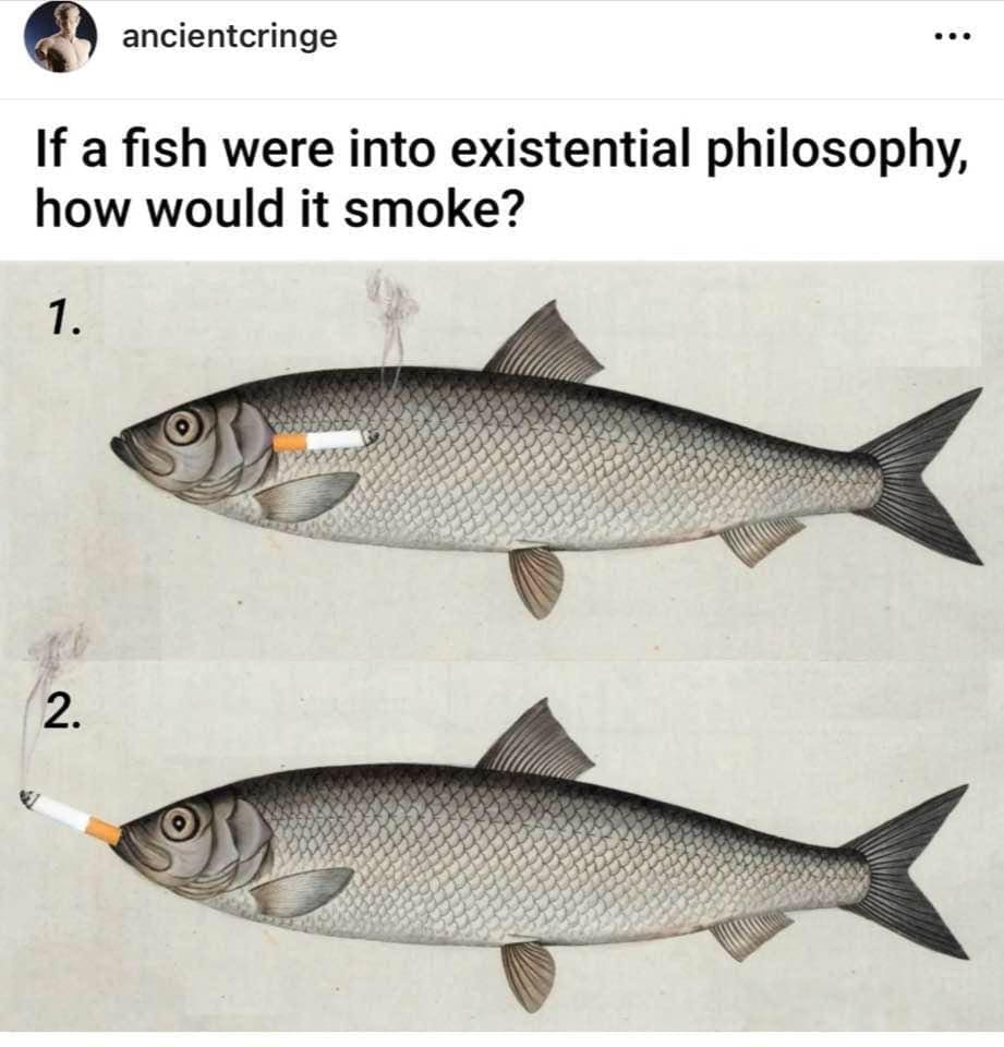 funny memes If a fish were into existential philosophy, how would it smoke?