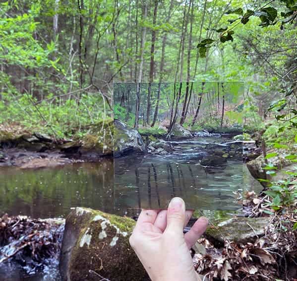 accidental camouflage